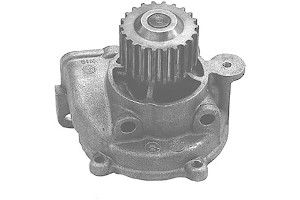 419Ztb8afvL._AC_UL320_