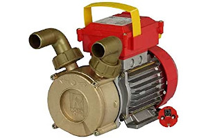 515JLhWJ1vS._AC_UL320_