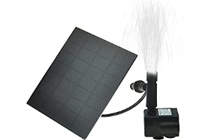 51LR9cvNZrS._AC_UL320_