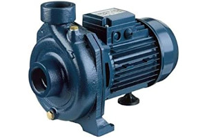 Bomba Centrifuga Para Agua Potable 617BH-CTdmL._AC_UL320_