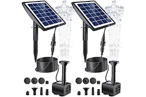 71vm8hM5-6L._AC_UL320_