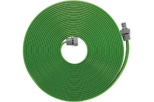 81dlZLBbEaL._AC_UL320_